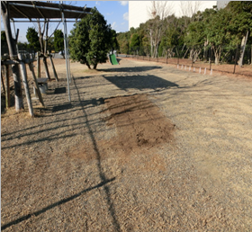 横須賀市夏島都市緑地公園